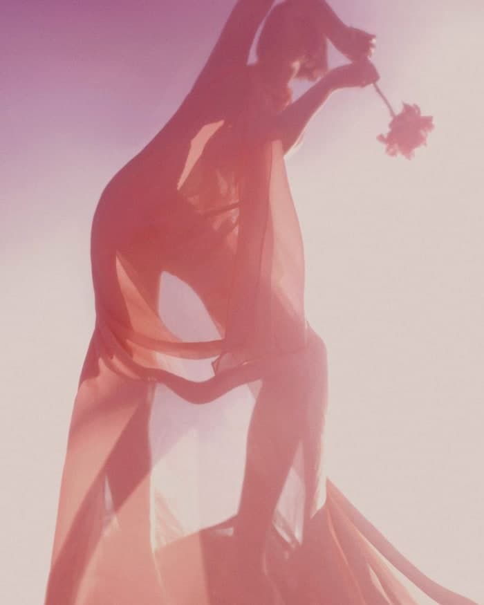 blurred-blooming-3.jpg