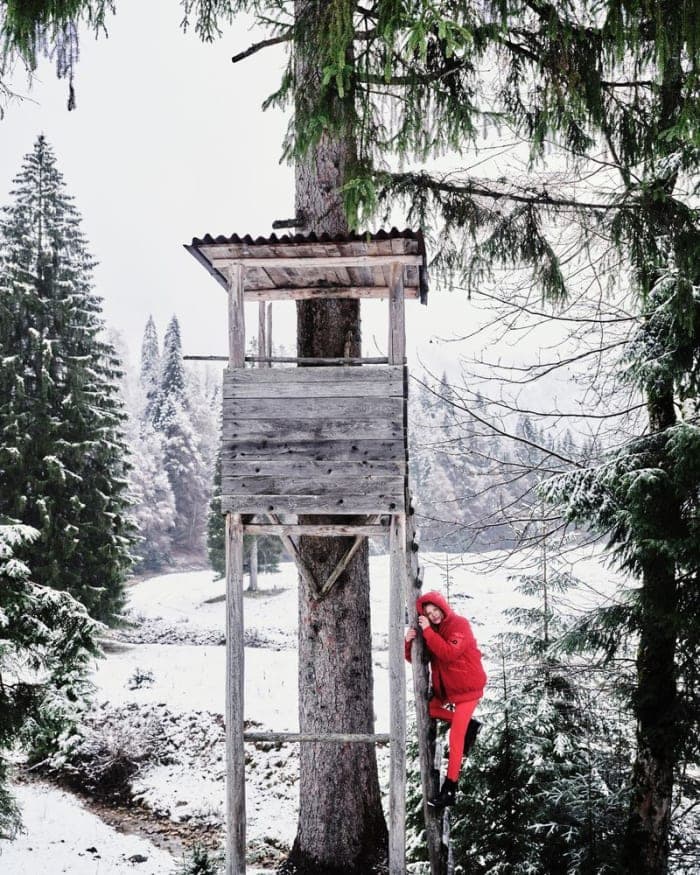 bogner-winter-2020-2021-4.jpg