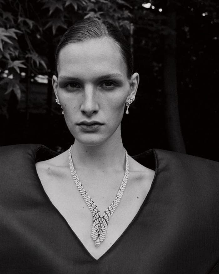 cartier-3.jpg