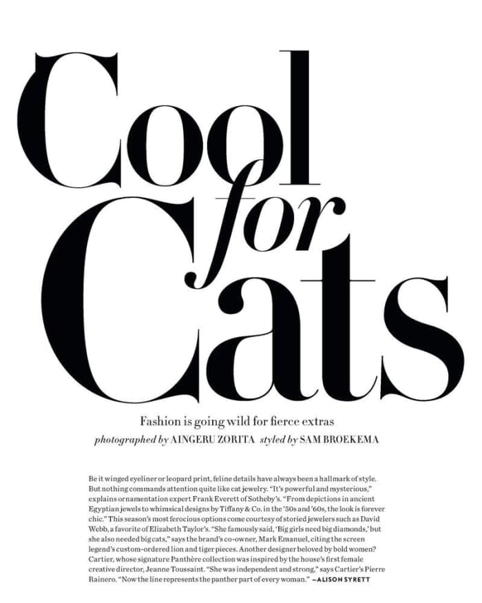 cool-for-cats-2.jpg