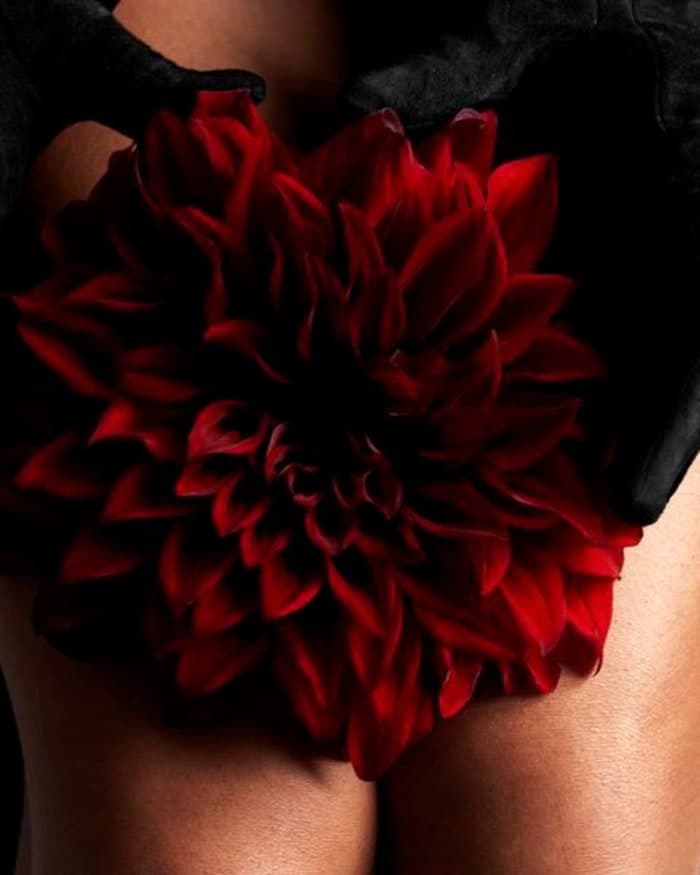 dark-dahlia-for-lofficiel-monaco-2.jpg