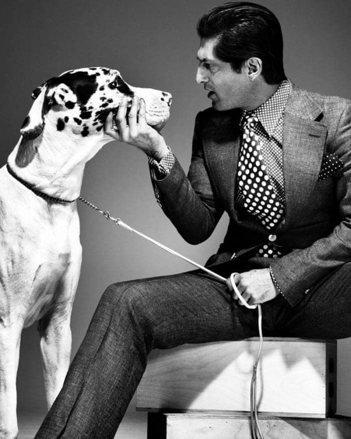 dog-land-2.jpg