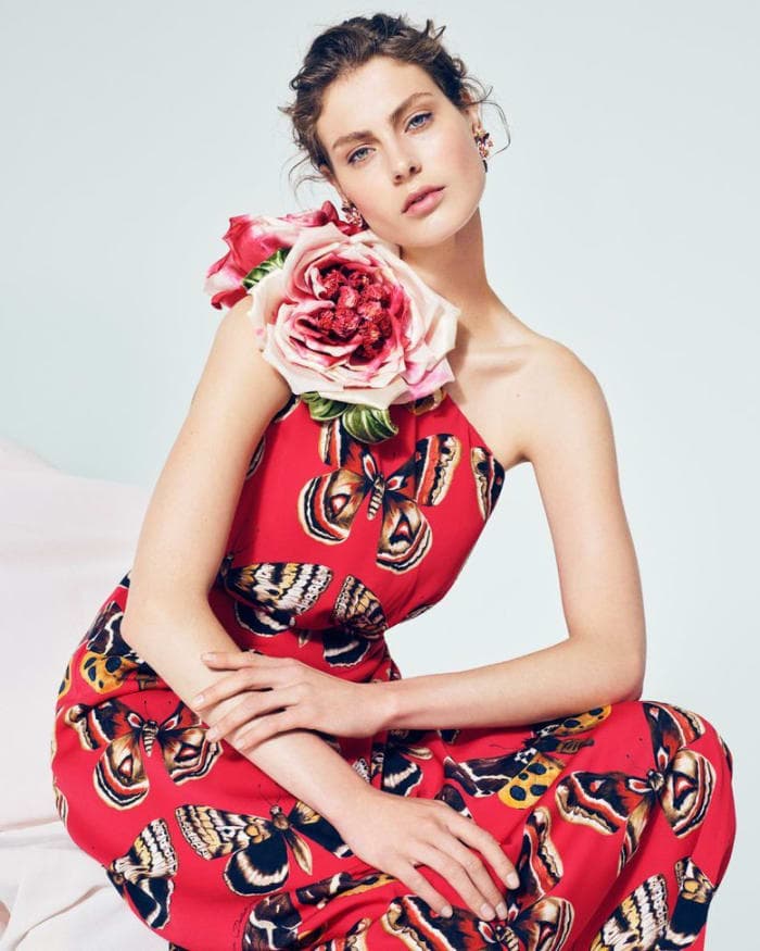 dolce-and-gabbana-4.jpg