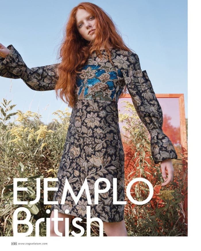 ejemplo-british-2.jpg