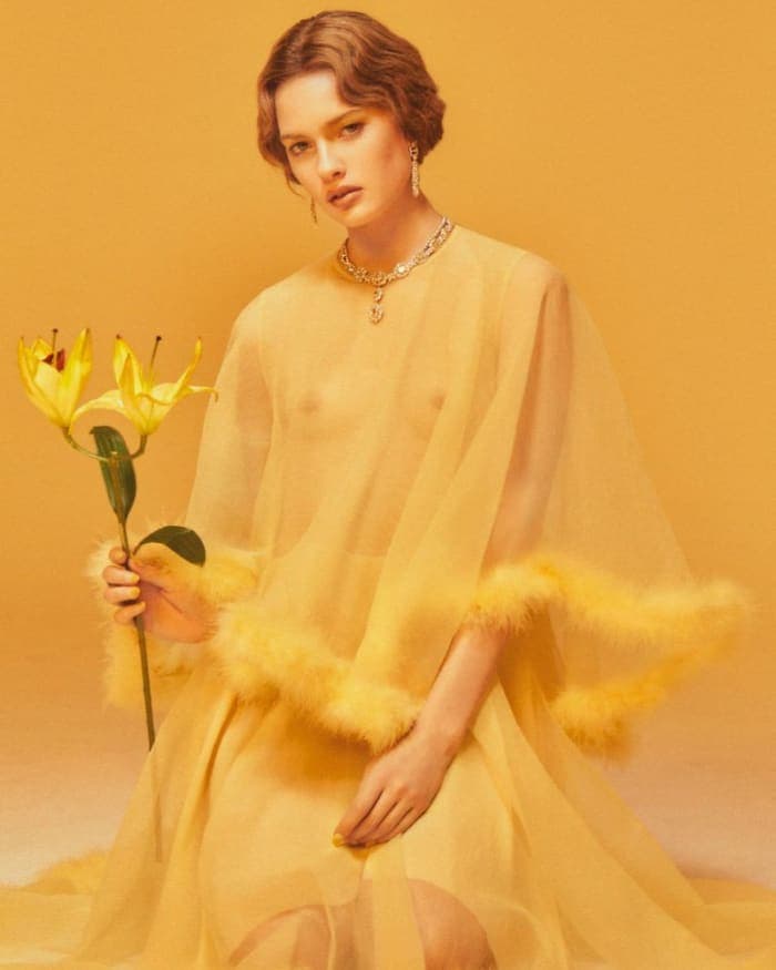 fade-to-color-5.jpg