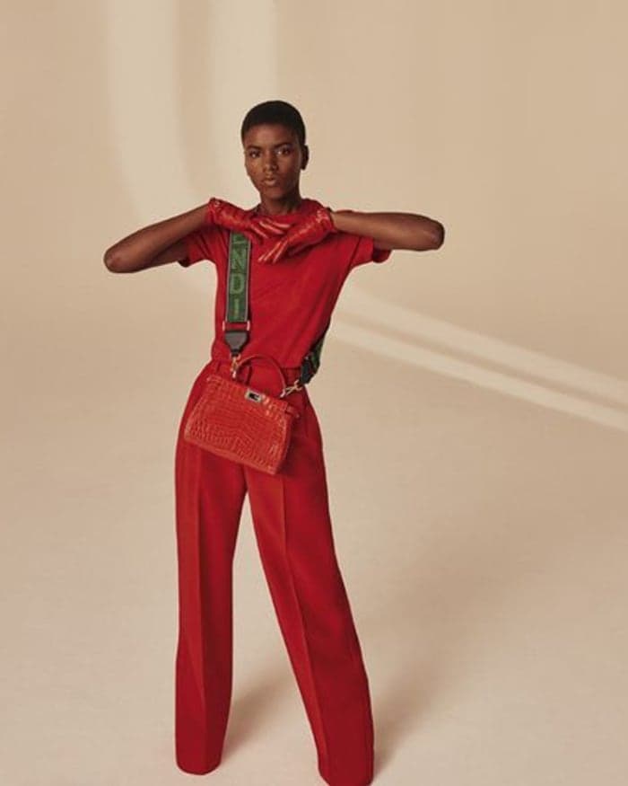 fendi-peekaboo-fall-2019-4.jpg