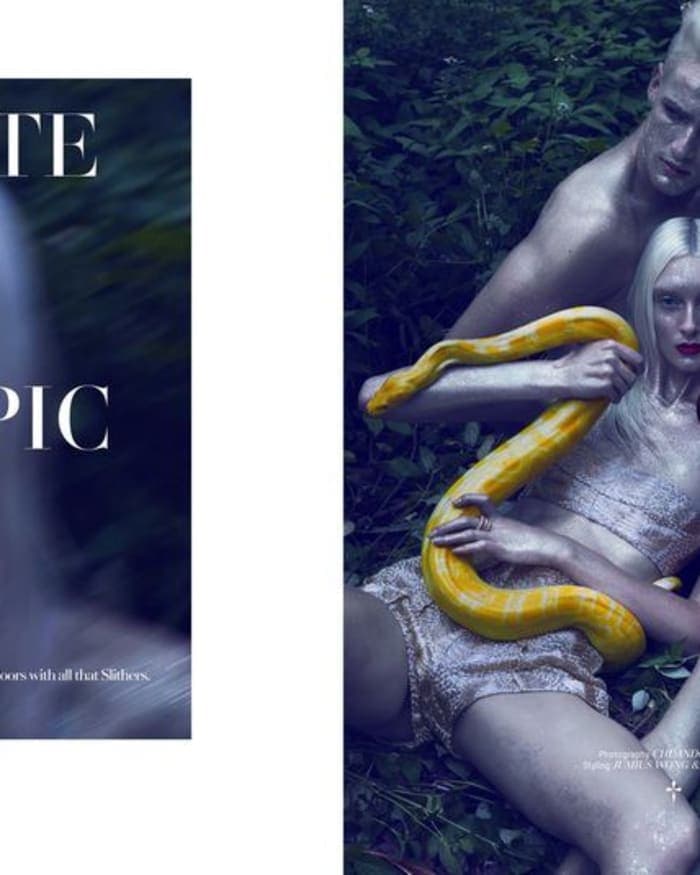 haute-tropic-3.jpg