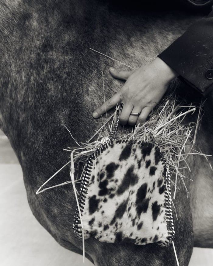 healing-power-of-horses-5.jpg