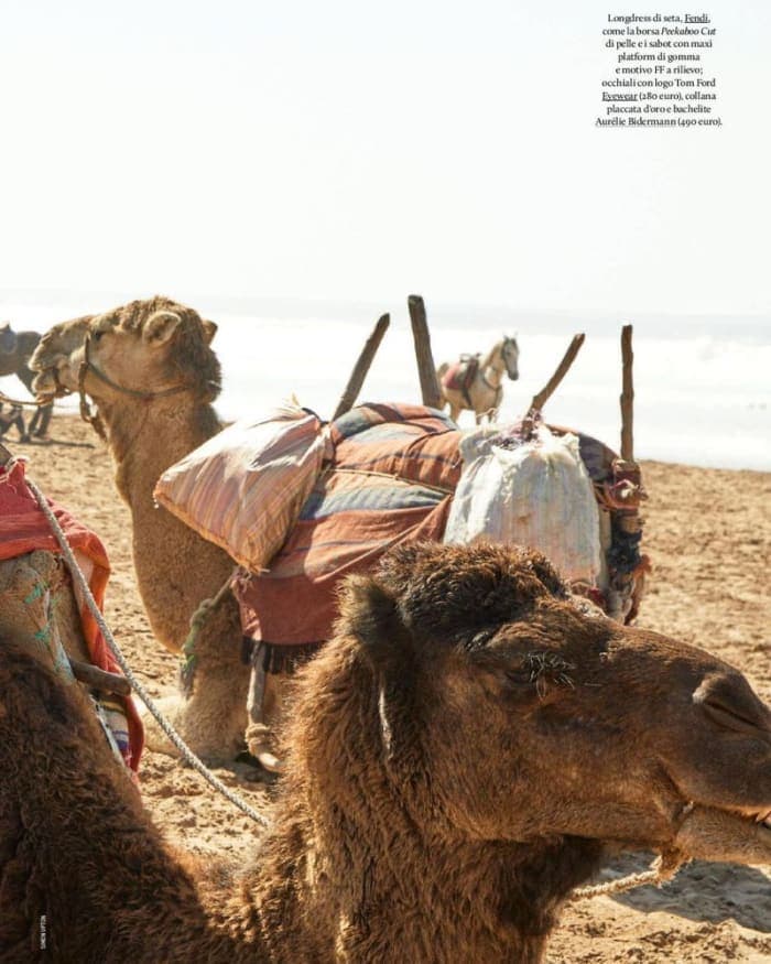 hotel-essaouira-4.jpg