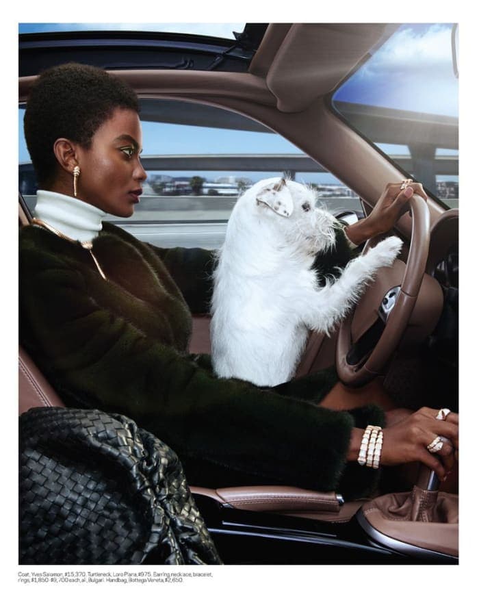 life-in-the-fast-lane-3.jpg