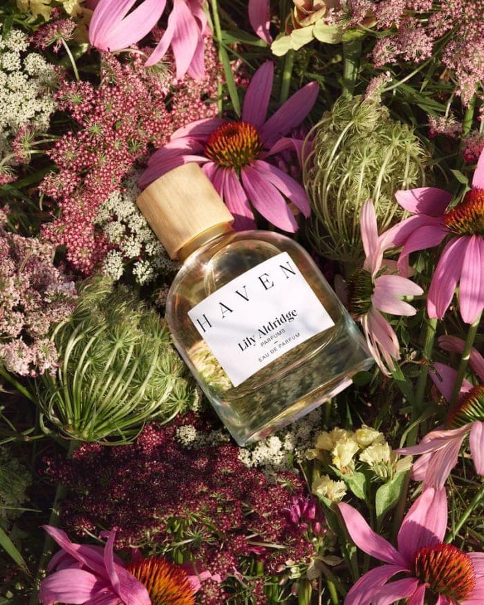 lily-aldridge-parfums-spring-2022-4.jpg
