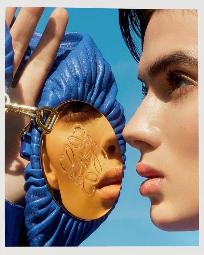 loewe-bags-2.jpg