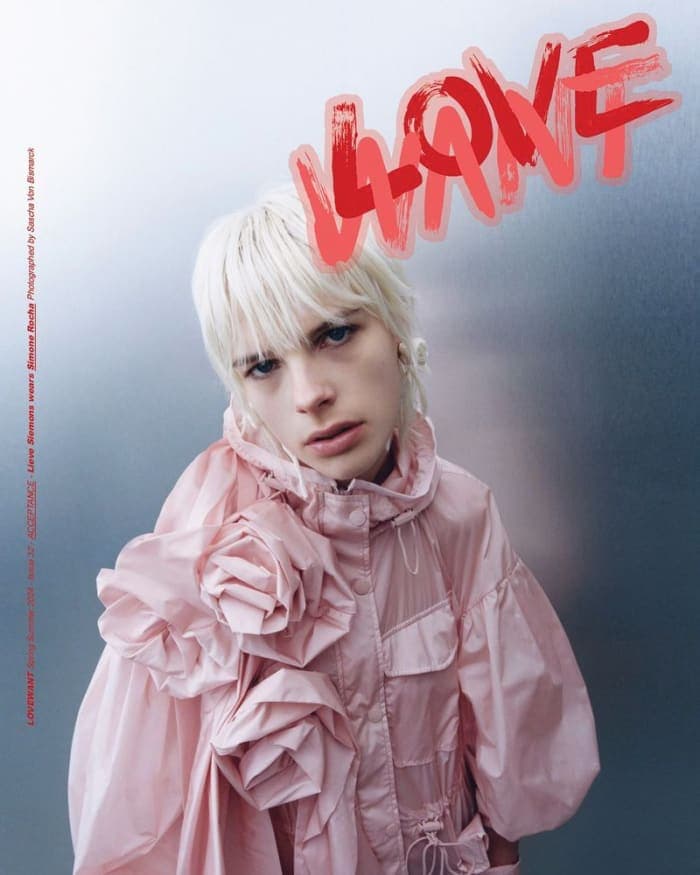 love-want-magazine-issue-32-acceptance-spring-2024-covers-4.jpg
