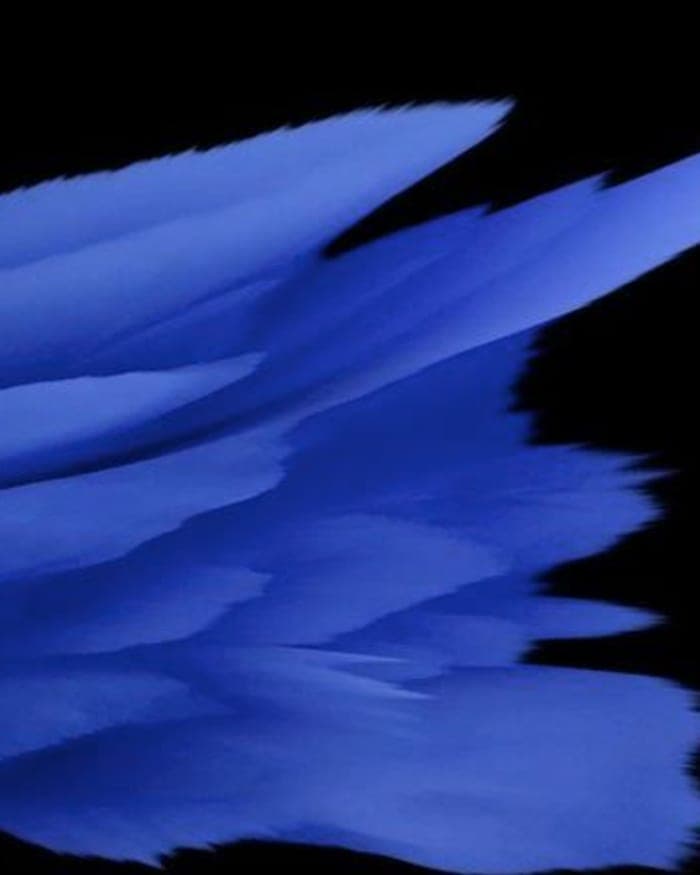 mm6-s-s-13-video-and-show-visuals-promo-piece-2.jpg