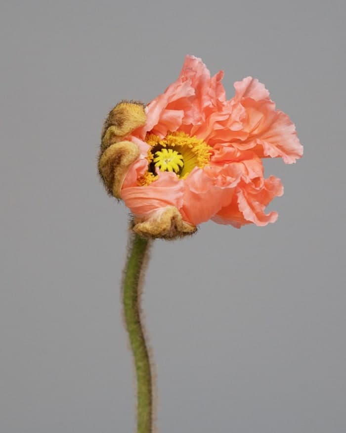 natures-palette-2.jpg