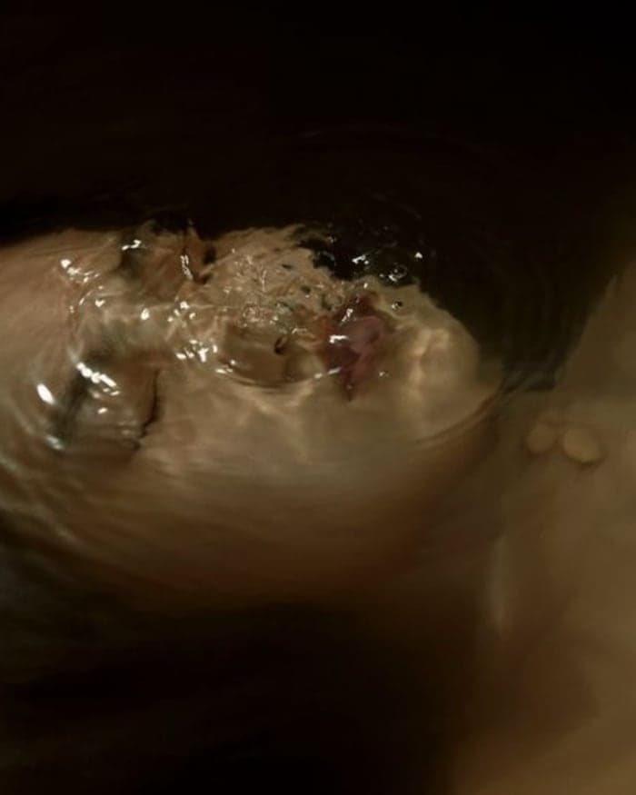 new-hallucinations-5.jpg