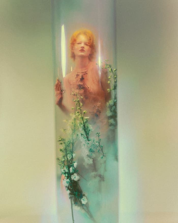 pollinate-2.jpg