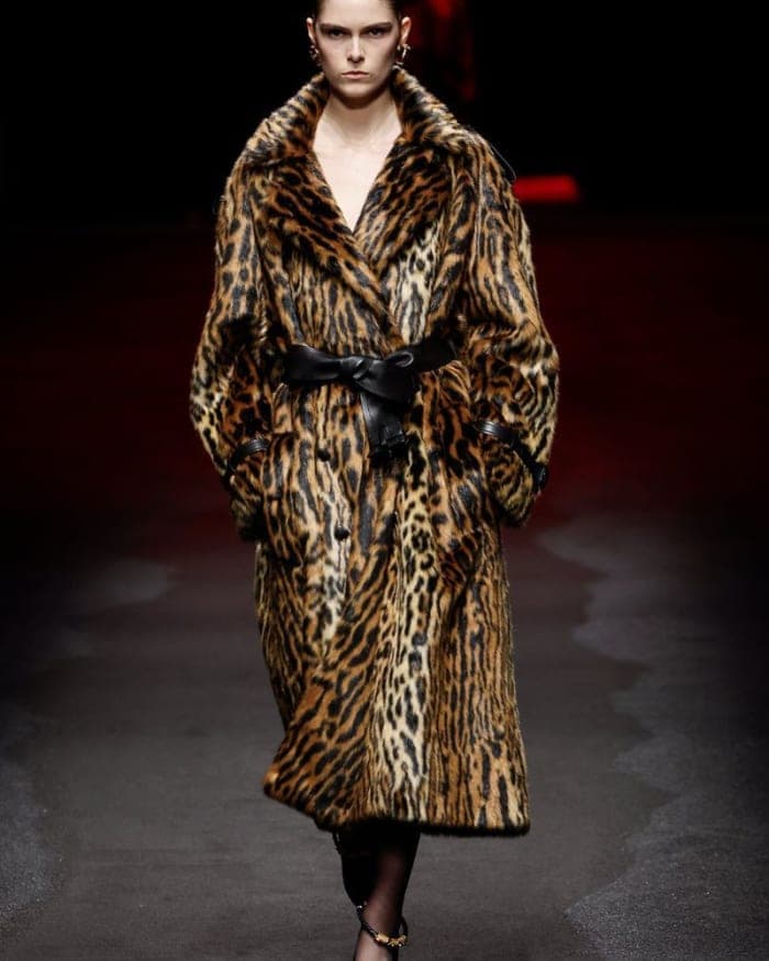 roberto-cavalli-f-w-25-show-5.jpg