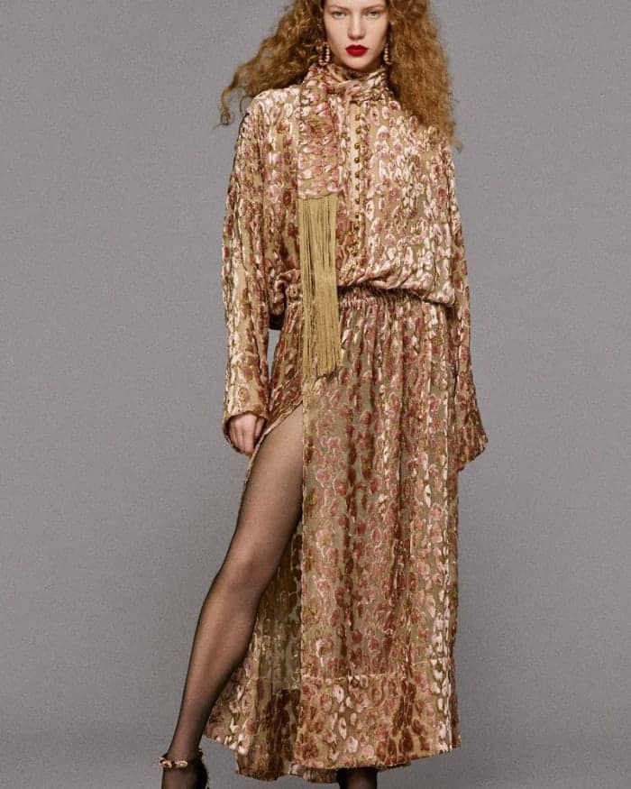 roberto-cavalli-pre-fall-2025-lookbook-4.jpg
