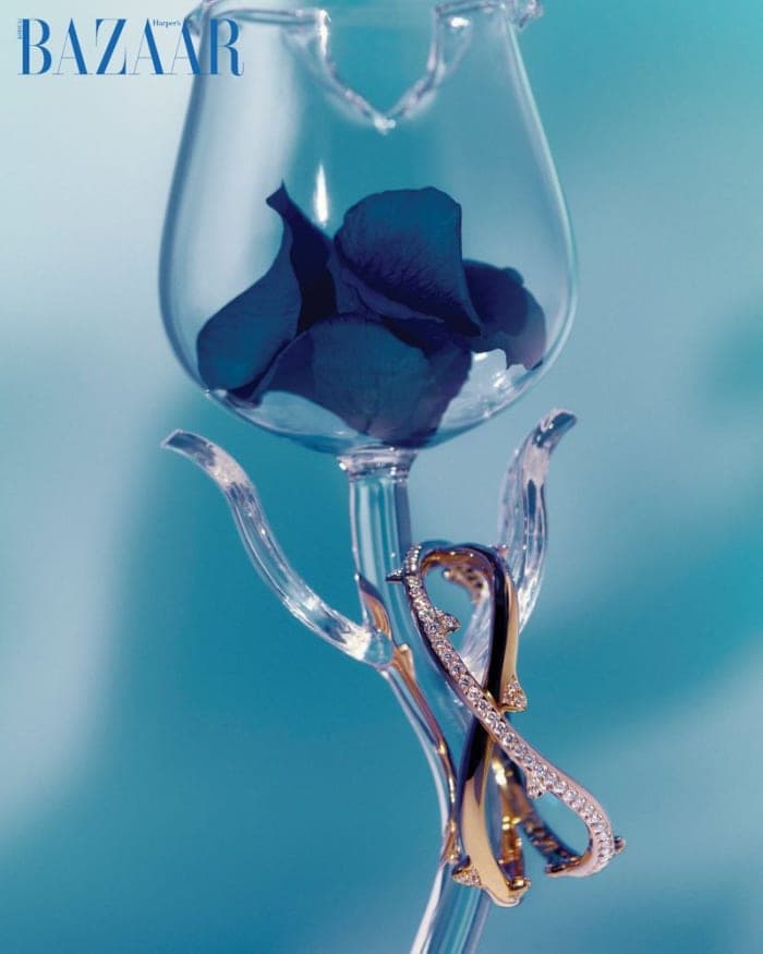 rose-in-frost-5.jpg