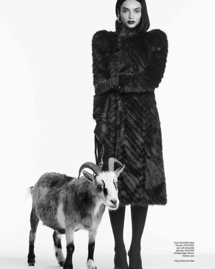 spirit-animals-2.jpg