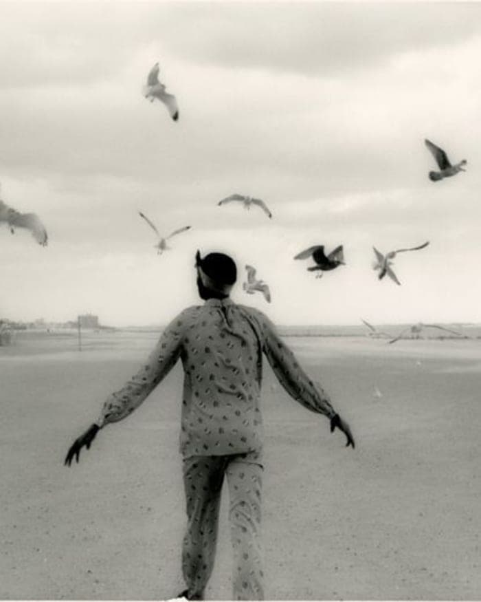 the-coney-island-polar-bears-3.jpg