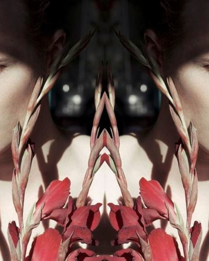 the-red-bloom-3.jpg