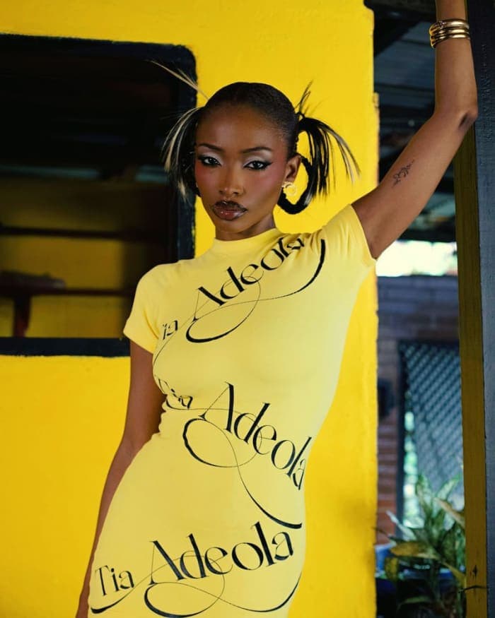 tia-adeola-lagos-homecoming-by-dan-mbo-2.jpg