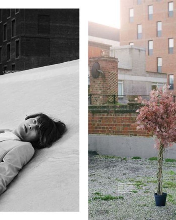 up-on-the-roof-2.jpg