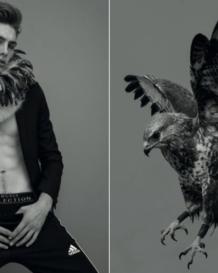 vain-feather-2.jpg