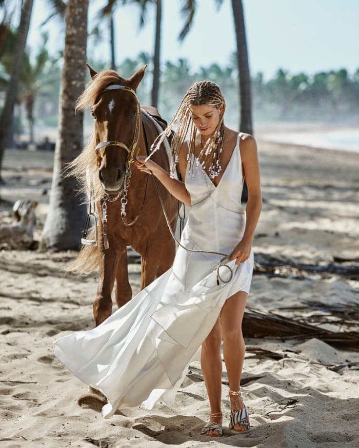 wild-horses-3.jpg